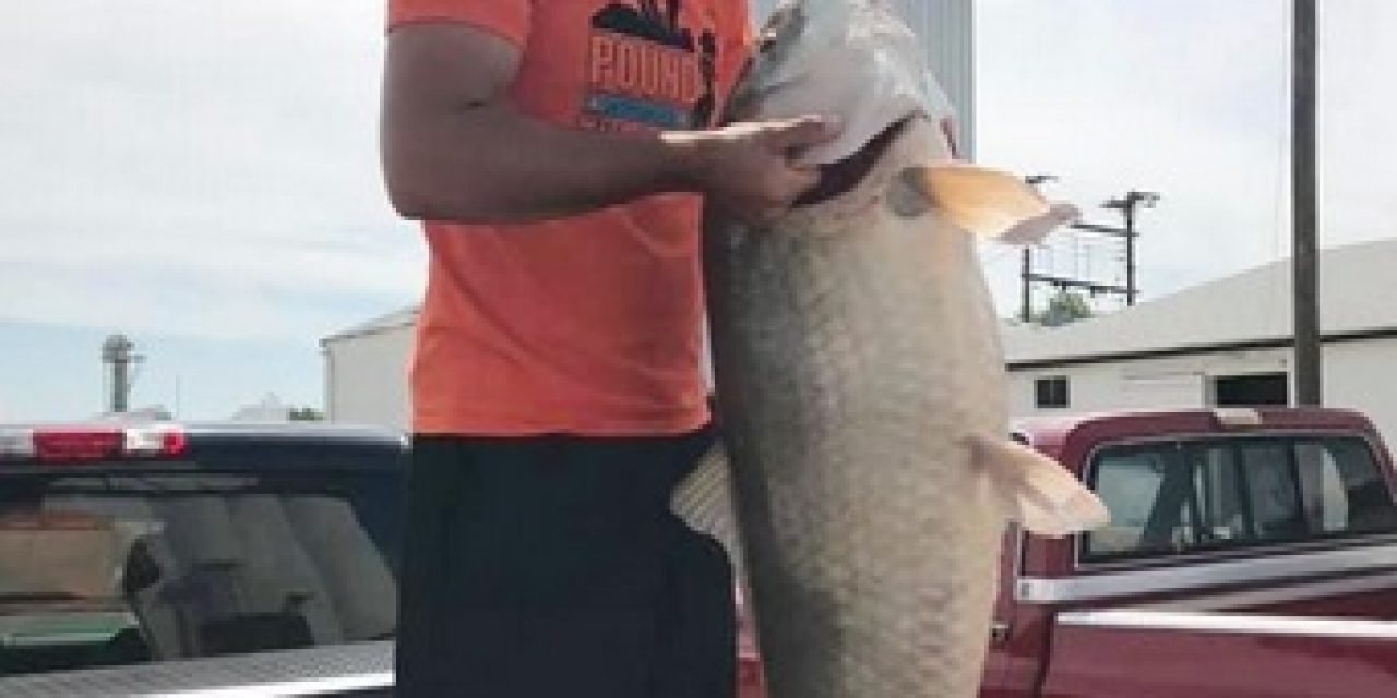 State-record fish: 66-pound bigmouth buffalo