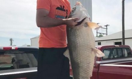 State-record fish: 66-pound bigmouth buffalo