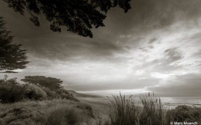 The Art Of Seeing, Part 2
