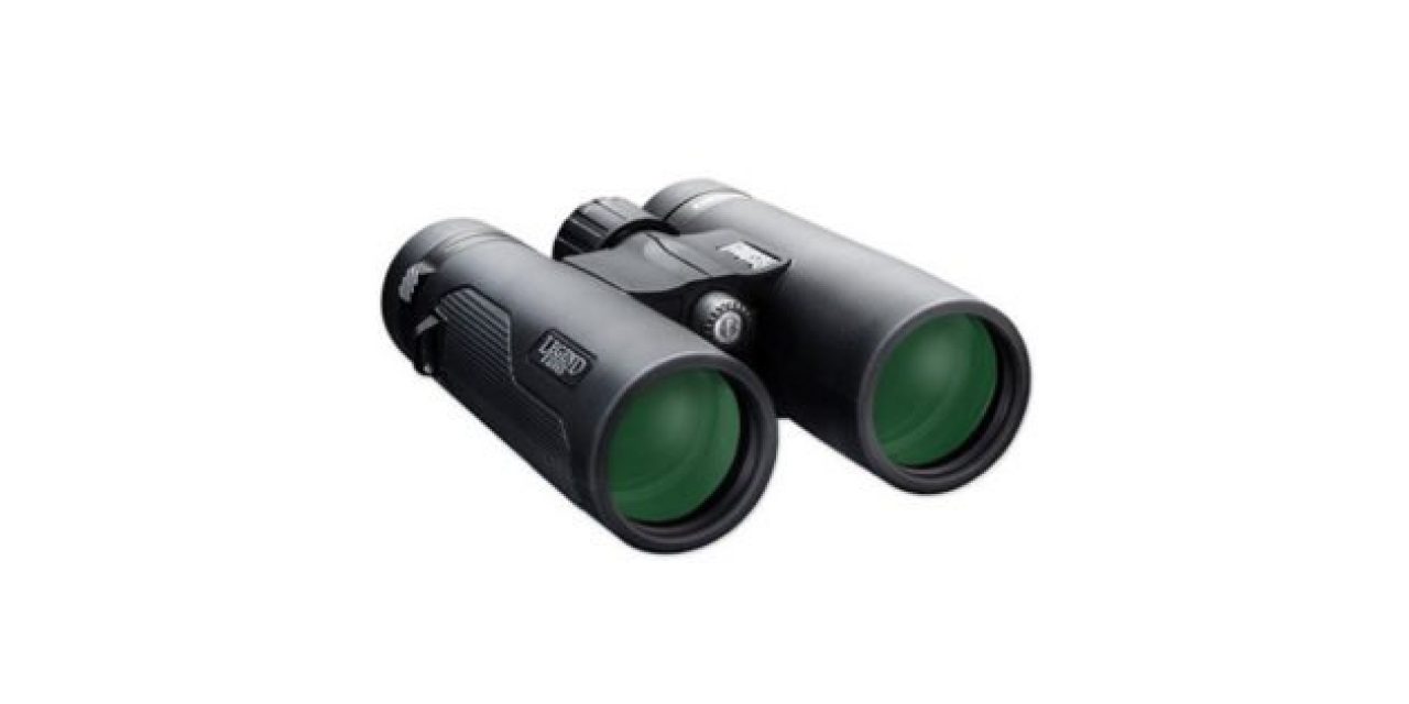 The Best Pair of Binoculars at Walmart, Chosen By Customer Review