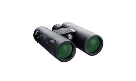 The Best Pair of Binoculars at Walmart, Chosen By Customer Review