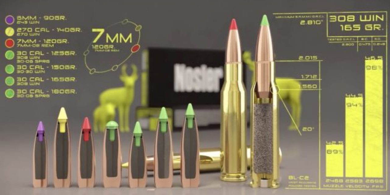 The Full Scoop on Nosler Ballistic Tip Ammo