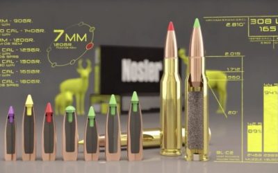 The Full Scoop on Nosler Ballistic Tip Ammo