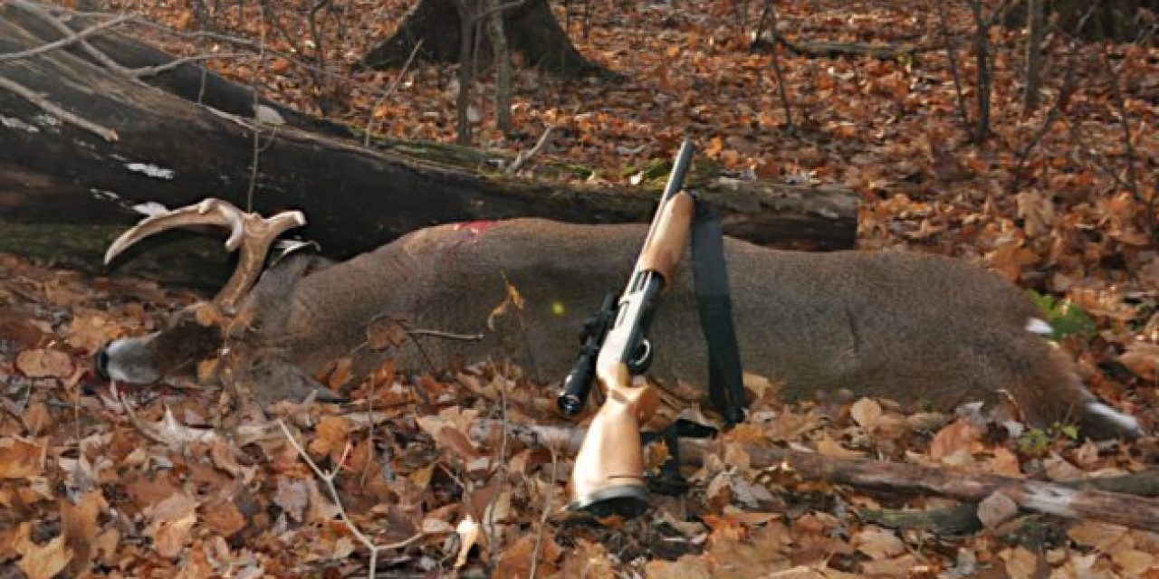 The Legalities, Trends, and Efficacy of Deer Hunting with Shotguns