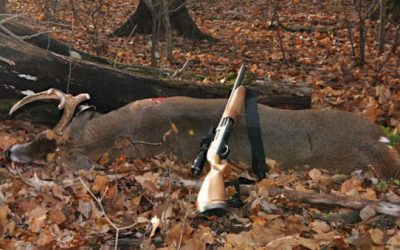 The Legalities, Trends, and Efficacy of Deer Hunting with Shotguns