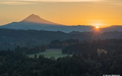 Tips For Great Sunburst Photos