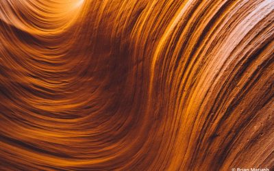 Try A Photo Study To Focus On Finer Details