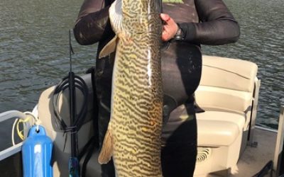 Utah Man Sets Spearfishing Record With 51-inch Tiger Muskellunge?