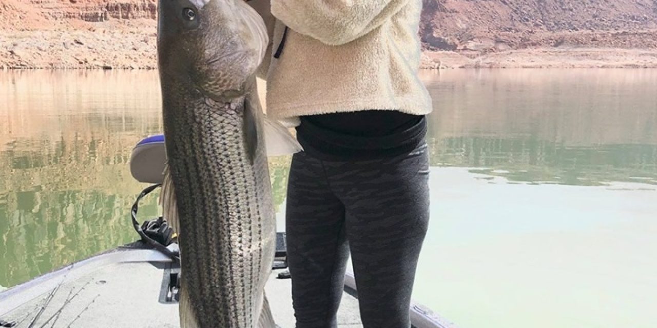 Utah’s Heather Litke’s Giant Striper