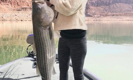 Utah’s Heather Litke’s Giant Striper