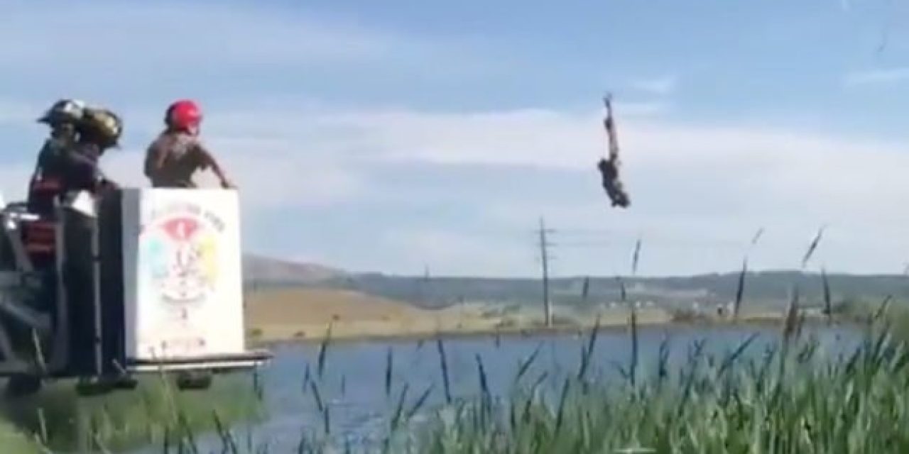 Video: Firefighters Save Owl From Fishing Line