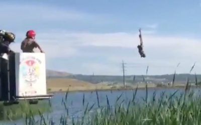 Video: Firefighters Save Owl From Fishing Line