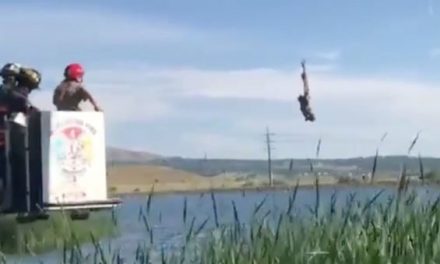 Video: Firefighters Save Owl From Fishing Line