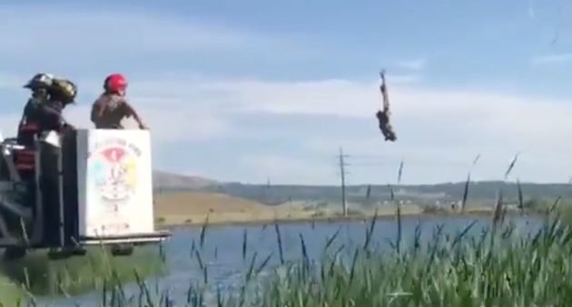 owl in fishing line