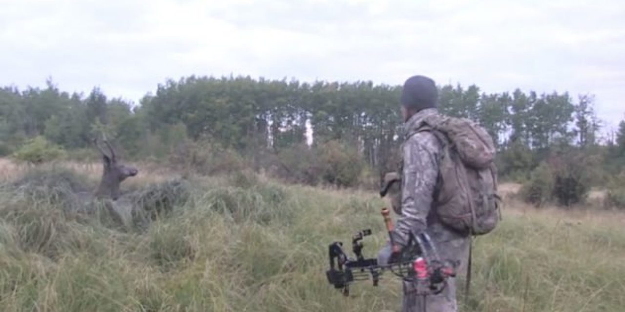 Video: Hunters Rescue Elk From Mud Hole