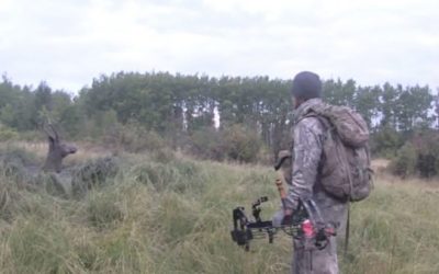 Video: Hunters Rescue Elk From Mud Hole