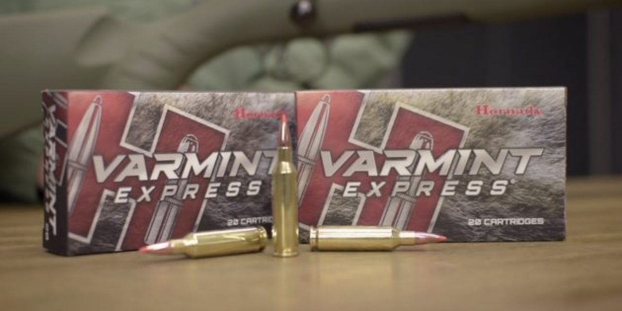 What You Need to Know About Hornady Varmint Express Ammo
