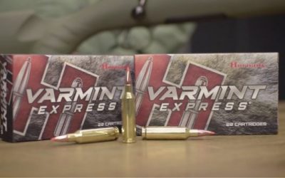 What You Need to Know About Hornady Varmint Express Ammo