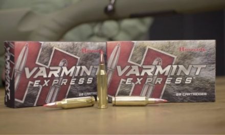 What You Need to Know About Hornady Varmint Express Ammo