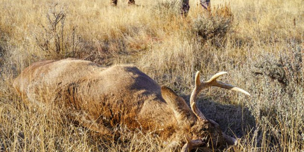 What’s in It for the Rest? A Guide to the Great Things About Hunting for Those Who Don’t Do It