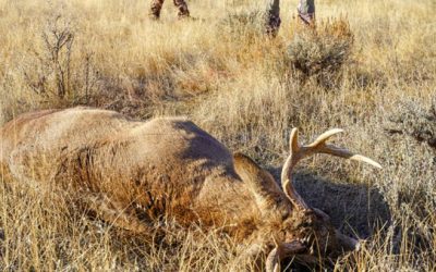 What’s in It for the Rest? A Guide to the Great Things About Hunting for Those Who Don’t Do It