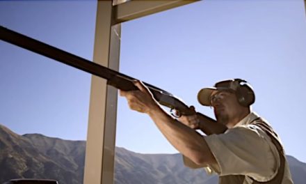 What’s the Best 20-Gauge Shotgun on the Market?