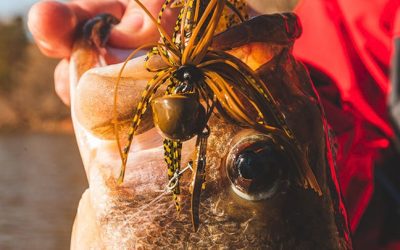 Z-MAN: A ChatterBait for the Deep Thinker
