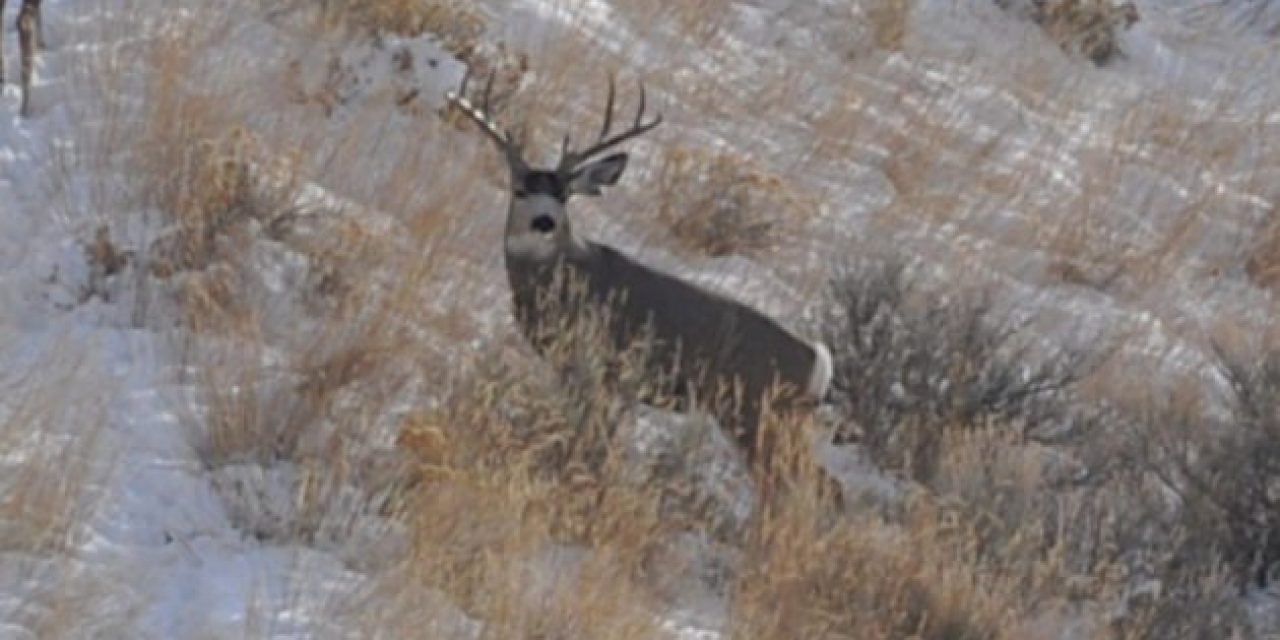 5 Big Things You May Have Forgotten as Hunting Season Approaches