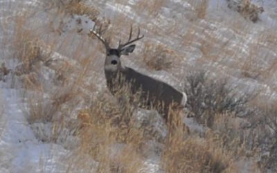 5 Big Things You May Have Forgotten as Hunting Season Approaches