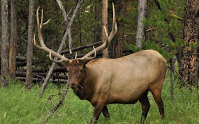 5 September Hunting Trips We Want to Cram into One Month