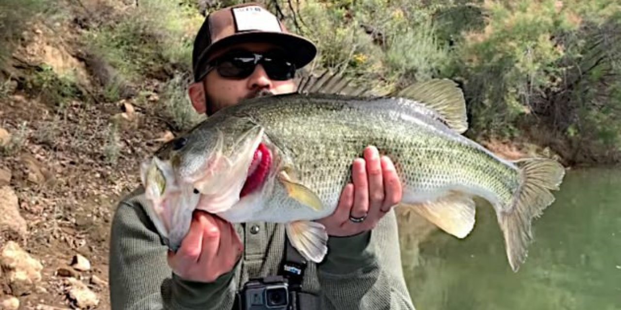 Bass Fishing in Southern California: What You Need to Know
