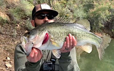 Bass Fishing in Southern California: What You Need to Know