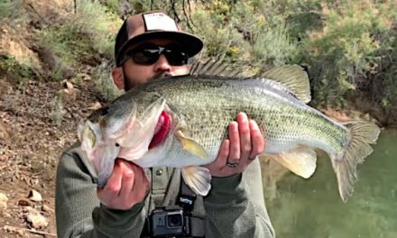 Bass Fishing in Southern California: What You Need to Know