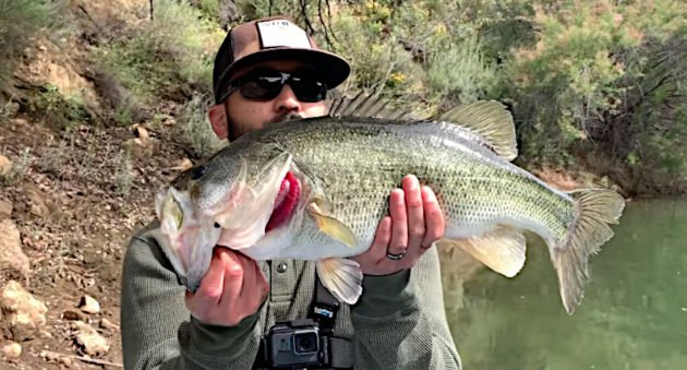 Bass Fishing in Southern California