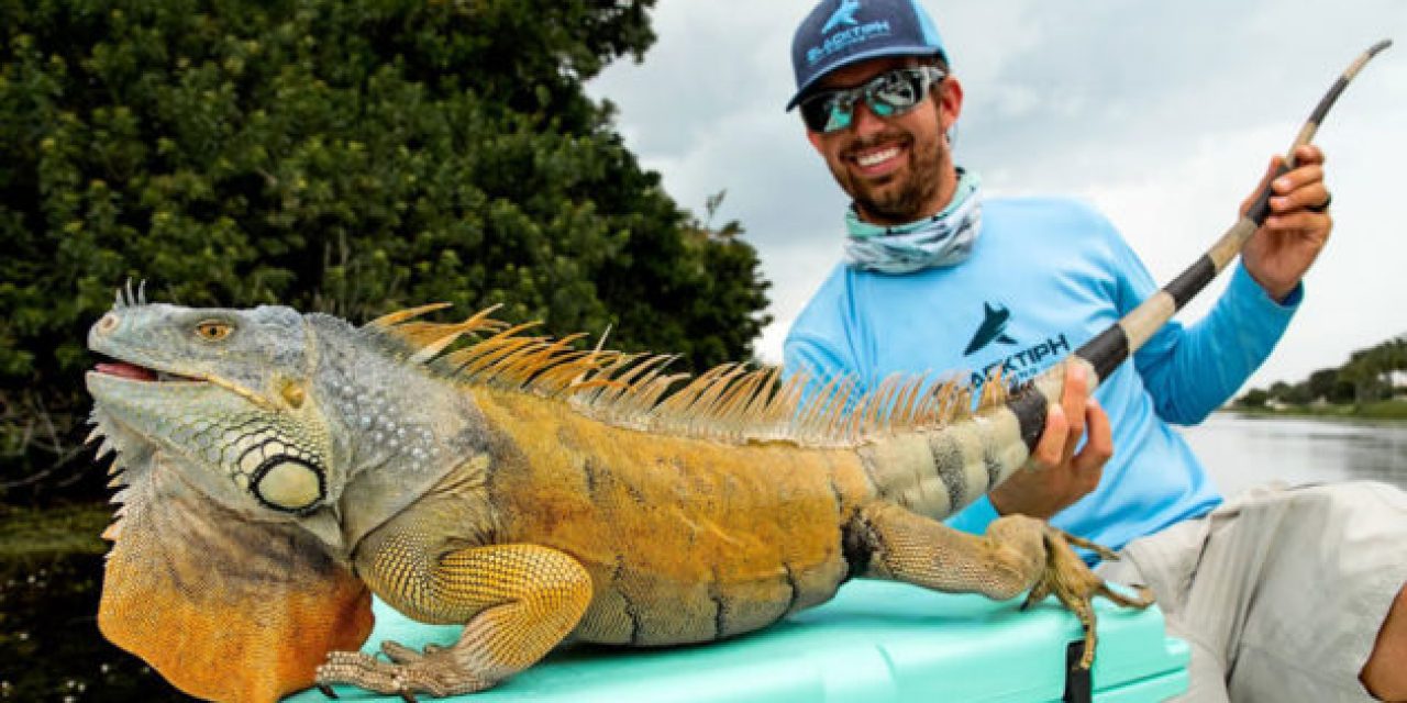 BlacktipH Catches Iguana While Freshwater Fishing in Florida