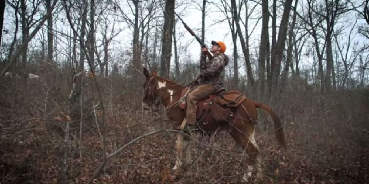 Clay Newcomb Takes Mules to Go Squirrel Hunting
