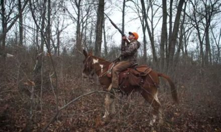 Clay Newcomb Takes Mules to Go Squirrel Hunting