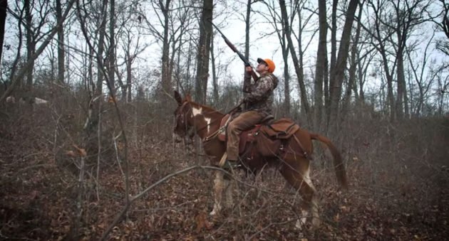 clay newcomb squirrel hunting