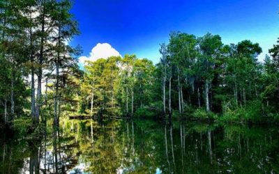 Coastal Mississippi: 62 Miles of Secret Coast and It’s Easy to Plan