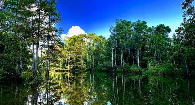 Coastal Mississippi