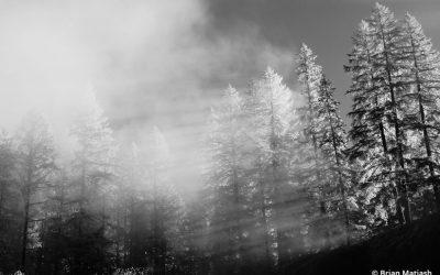 Convert Your Old Digital Camera To Infrared