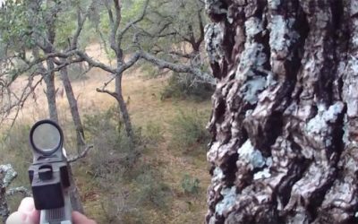 Did You Know People Actually Hunt Deer With Pistols?