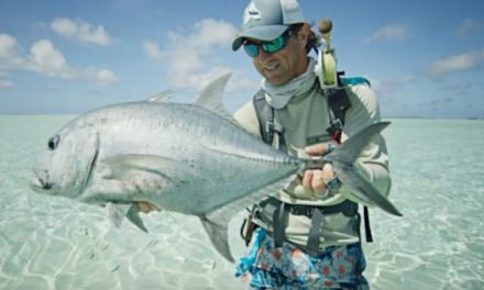 Dreaming of Some Seychelles Fishing? Here’s How to Do It