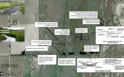 Dry Spotted Tail Creek Update