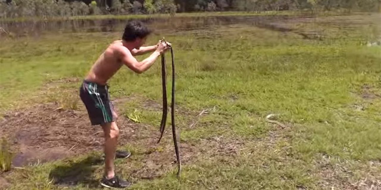 Ever Thought of Catching Wild Rabbits Using Snakes?