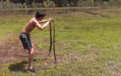 Ever Thought of Catching Wild Rabbits Using Snakes?