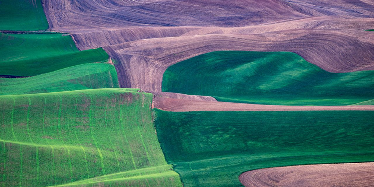 Exploring The Palouse