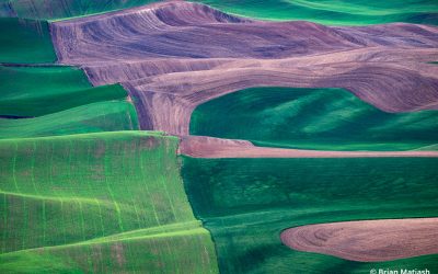 Exploring The Palouse