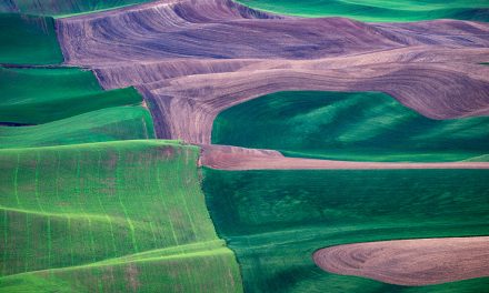 Exploring The Palouse