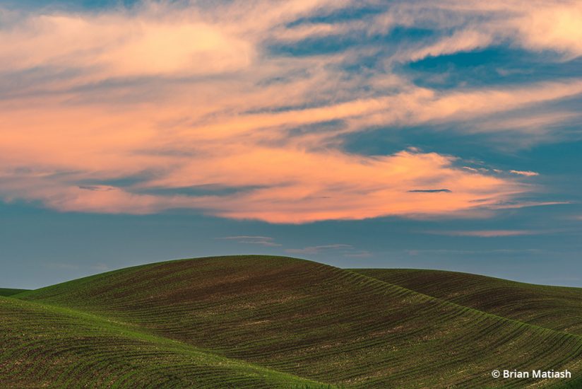 The Palouse in Washington State.